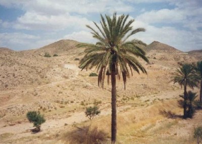 Deserted land Matmata