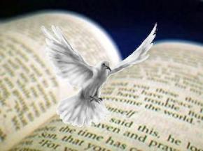 Dove_Spirit
